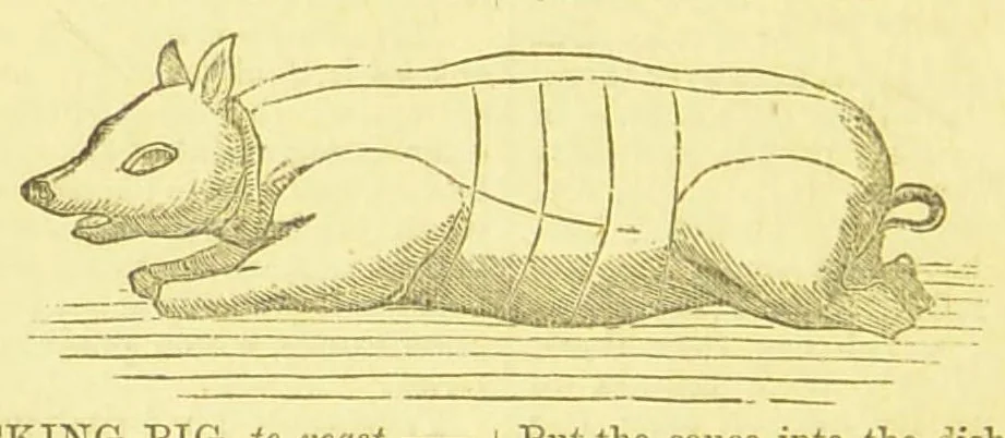 An illustration from Consult me, to know how to cook meats, poultry, fish, game, vegetables, soups, gravies, sauces, meat pies, puddings, food for the sick, &c.; consult me on confectionary ... consult me on household management and economy; ... consult me on diseases and their remedies ... consult me on how to dye ... consult me also on a thousand other things, 1870, leaf 412