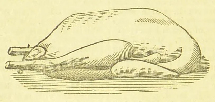 An illustration from Consult me, to know how to cook meats, poultry, fish, game, vegetables, soups, gravies, sauces, meat pies, puddings, food for the sick, &c.; consult me on confectionary ... consult me on household management and economy; ... consult me on diseases and their remedies ... consult me on how to dye ... consult me also on a thousand other things, 1870, leaf 424