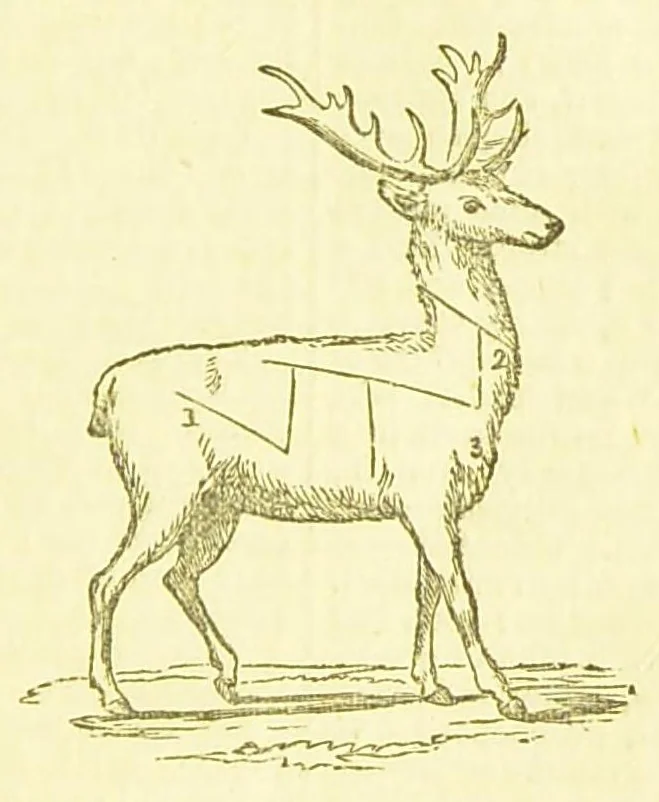 An illustration from Consult me, to know how to cook meats, poultry, fish, game, vegetables, soups, gravies, sauces, meat pies, puddings, food for the sick, &c.; consult me on confectionary ... consult me on household management and economy; ... consult me on diseases and their remedies ... consult me on how to dye ... consult me also on a thousand other things, 1870, leaf 439