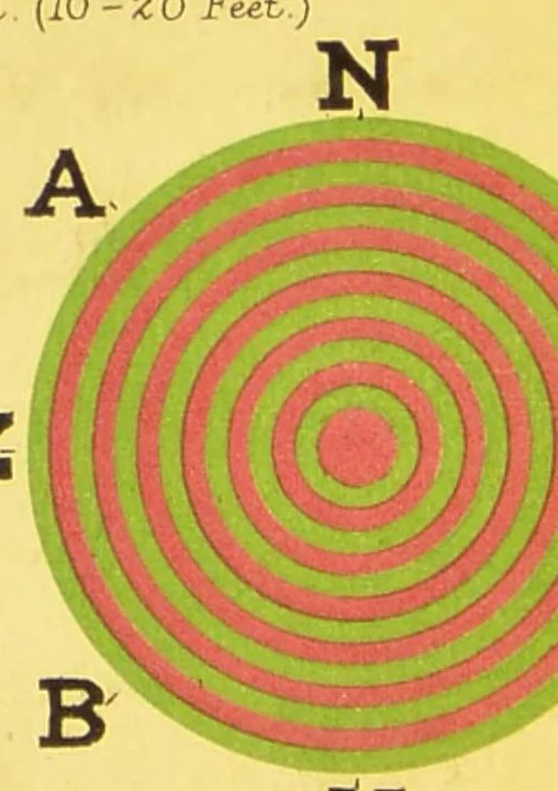 An illustration from The detection of colour-blindness and imperfect eyesight : with a table of coloured Berlin wools and sheet of test-types, 1884, leaf 2