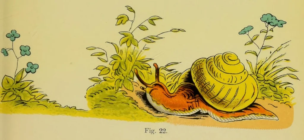 An illustration from Colour-blindness and colour-perception, 1909, leaf 145