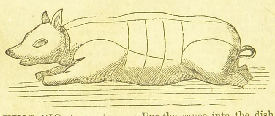 An illustration from Consult me, to know how to cook meats, poultry, fish, game, vegetables, soups, gravies, sauces, meat pies, puddings, food for the sick, &c.; consult me on confectionary ... consult me on household management and economy; ... consult me on diseases and their remedies ... consult me on how to dye ... consult me also on a thousand other things, 1868, leaf 412