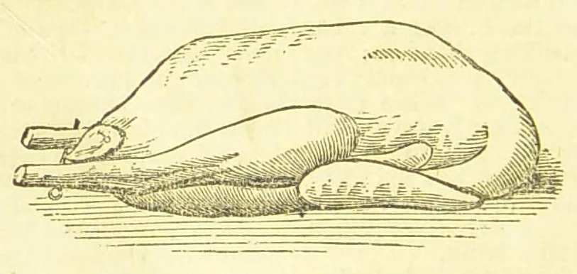 An illustration from Consult me, to know how to cook meats, poultry, fish, game, vegetables, soups, gravies, sauces, meat pies, puddings, food for the sick, &c.; consult me on confectionary ... consult me on household management and economy; ... consult me on diseases and their remedies ... consult me on how to dye ... consult me also on a thousand other things, 1868, leaf 424