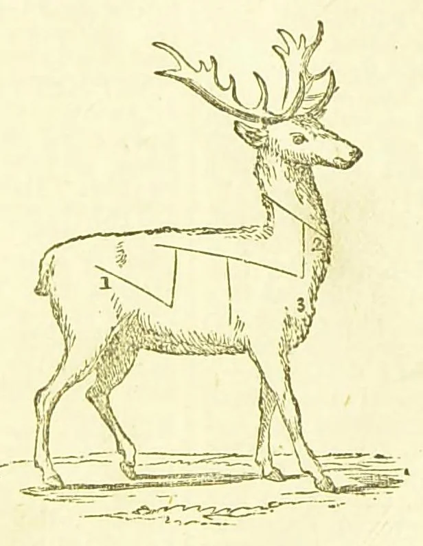 An illustration from Consult me, to know how to cook meats, poultry, fish, game, vegetables, soups, gravies, sauces, meat pies, puddings, food for the sick, &c.; consult me on confectionary ... consult me on household management and economy; ... consult me on diseases and their remedies ... consult me on how to dye ... consult me also on a thousand other things, 1868, leaf 439