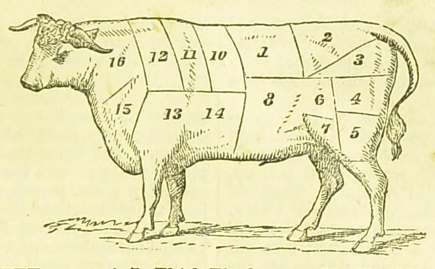 An illustration from Consult me, to know how to cook meats, poultry, fish, game, vegetables, soups, gravies, sauces, meat pies, puddings, food for the sick, &c.; consult me on confectionary ... consult me on household management and economy; ... consult me on diseases and their remedies ... consult me on how to dye ... consult me also on a thousand other things, 1868, leaf 51