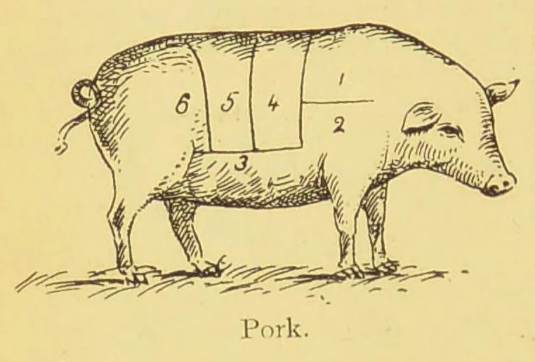An illustration from The household oracle : a popular referee on subjects of household enquiry : including: - house building, buying and renting; house furnishing and decoration; housekeeping and domestic cookery; plain and fancy needlework; home farming, gardening, medicine; law; an epitome of the history of the world and the growth of the human family; the formation of our mother tongue and the rules of English grammar; a dictionary of religions; stepping stones of English history and a sketch of the English constitution setting forth the rights, privileges and duties of the English householder parochial, municipal, imperial; the story of the calendar, standards of weights and measures; arithmetical tables and tables of interest and a ready reckoner; household amusements, games, chess, cards and other indoor games, dancing, swimming, etiquette, ..., 1897, leaf 116