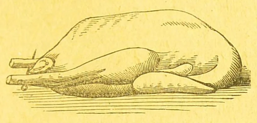 An illustration from Consult me : how to cook... on confectionery... how to brew... on household management and economy... on diseases and their remedies... on games of cards, chess... how to dye... consult me as to married women's property... on the cold water cure, and on a thousand other things, 1902, leaf 399