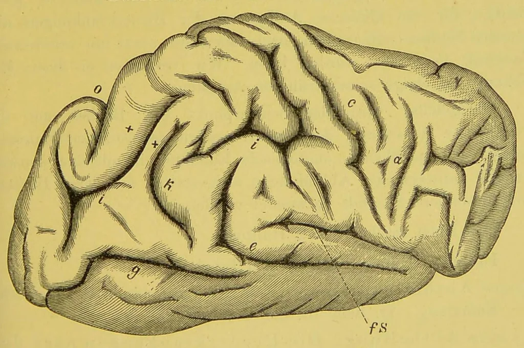 An illustration from Ueber Das Sehen der Farbenblindheit [electronic resource], 1880, leaf 45