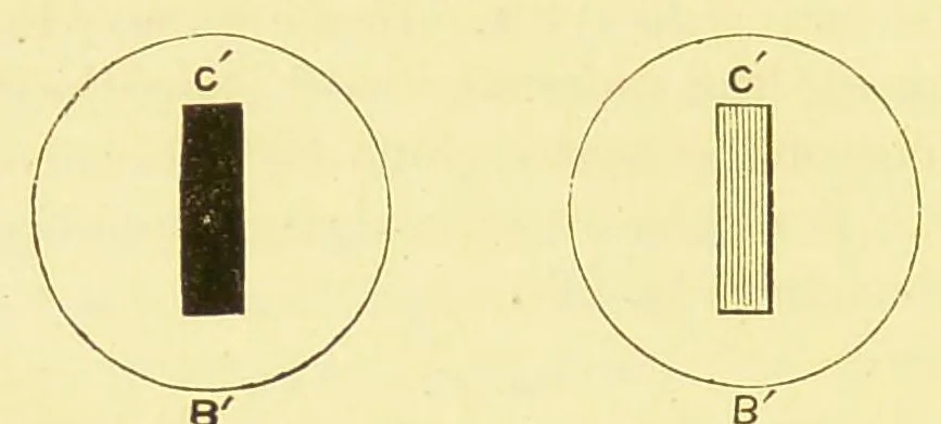 An illustration from Six lectures on light [electronic resource] : delivered in the United States in 1872-1873, 1882, leaf 140