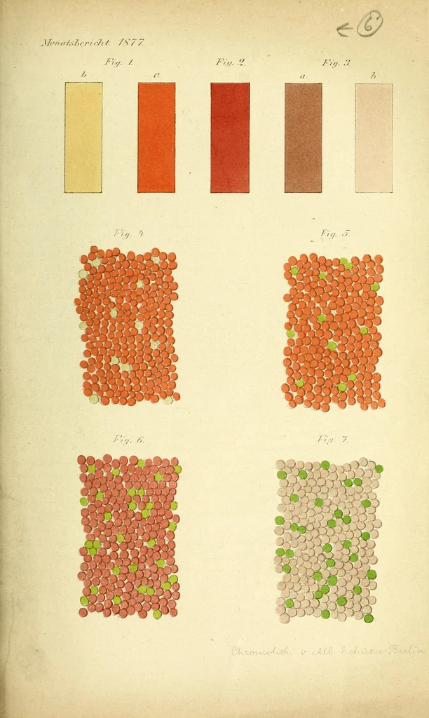 An illustration from Zur Physiologie des Sehens und der Farbenempfindung [electronic resource], 1877, leaf 3