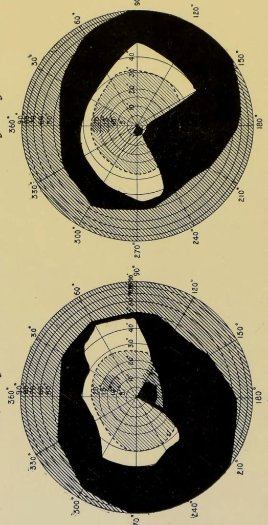 An illustration from Colour vision : being the Tyndall lectures delivered in 1894 at the Royal Institute, 1895, leaf 176