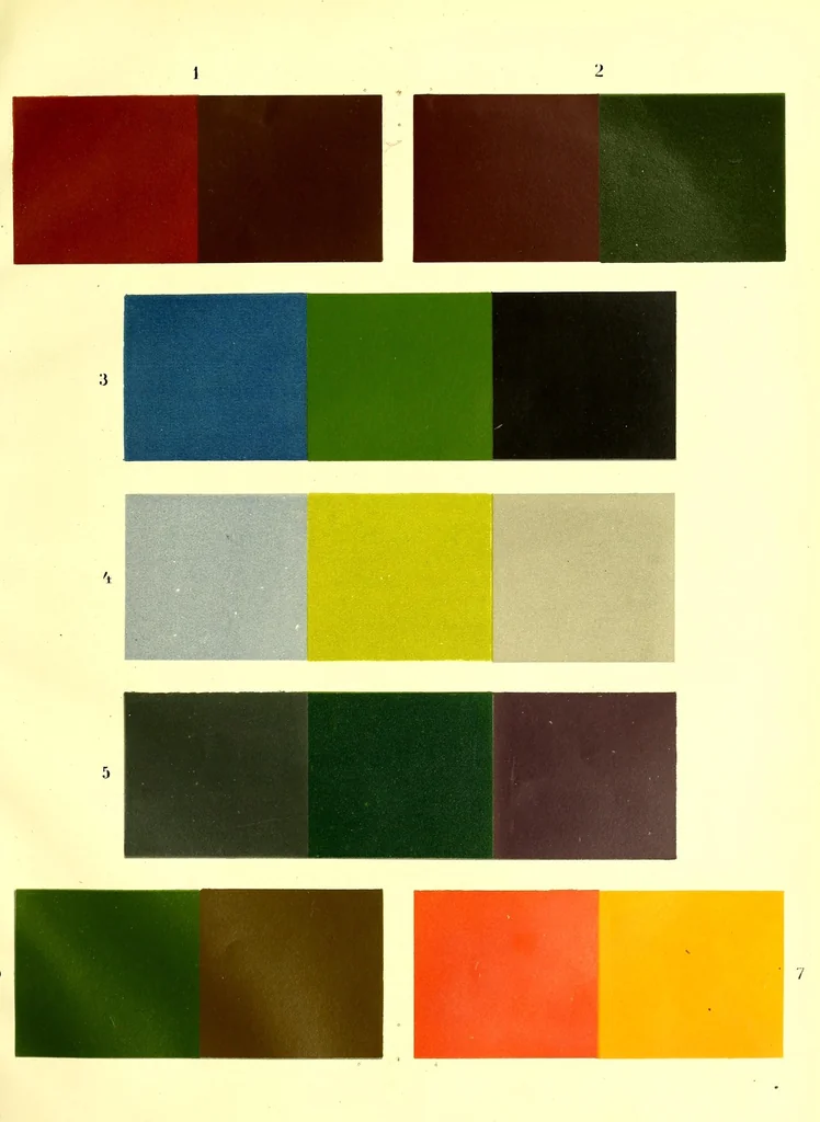 An illustration from Die Prüfung des Farbensinnes beim Eisenbahn- und Marinepersonal. Neue Folge. 1. Lieferung. Tafeln zur Bestimmung der Roth-Grünblindheit, 1878, leaf 17