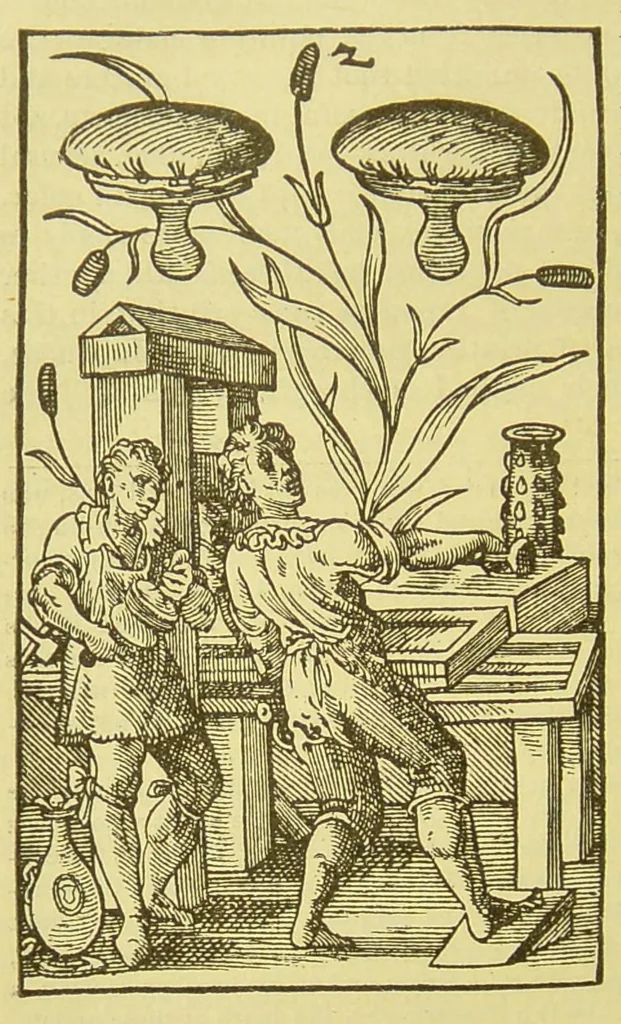 An illustration from Japanese wood-cutting and wood-cut printing, 1894, leaf 44