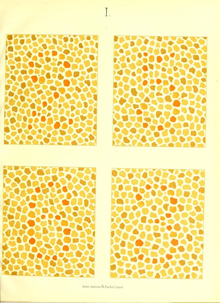 An illustration from Pseudo-isochromatische Tafeln für die Prüfung des Farbensinnes, 1883, leaf 11