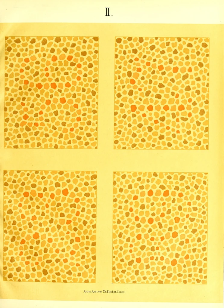 An illustration from Pseudo-isochromatische Tafeln für die Prüfung des Farbensinnes, 1883, leaf 13