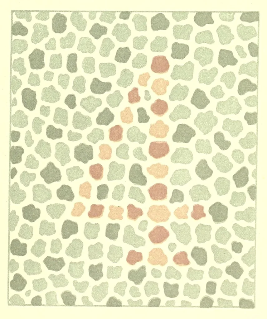 An illustration from Pseudo-isochromatische Tafeln für die Prüfung des Farbensinnes, 1883, leaf 15