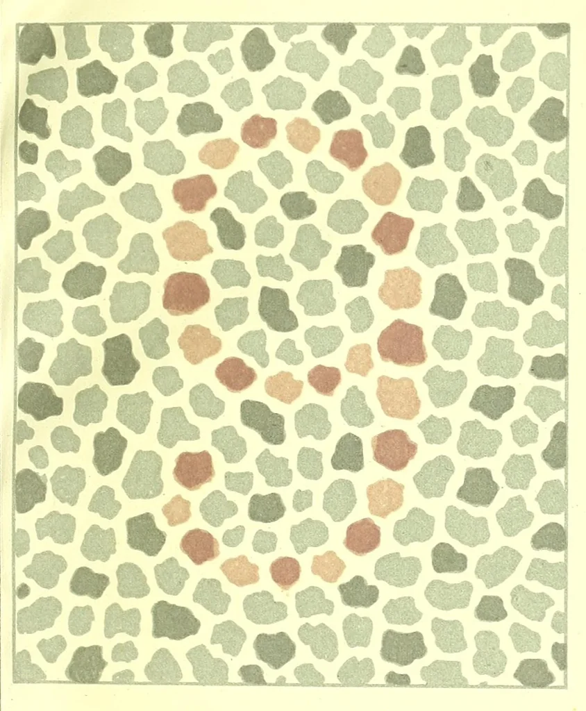 An illustration from Pseudo-isochromatische Tafeln für die Prüfung des Farbensinnes, 1883, leaf 15