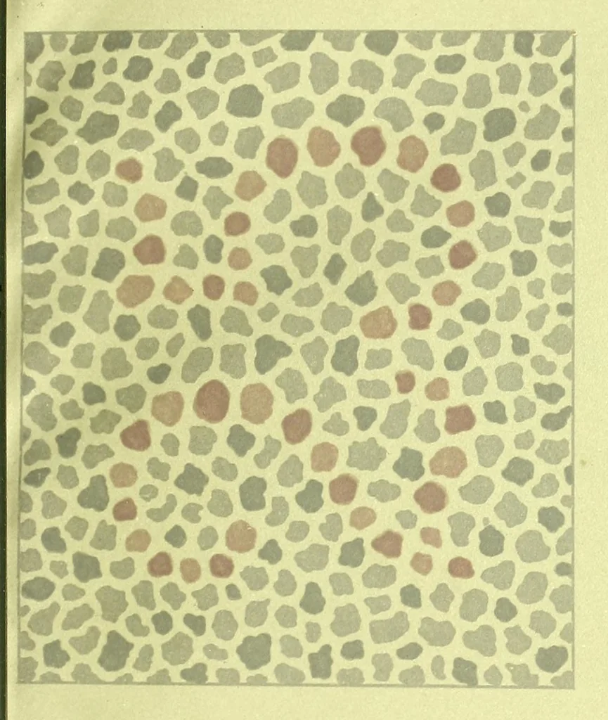 An illustration from Pseudo-isochromatische Tafeln für die Prüfung des Farbensinnes, 1883, leaf 17