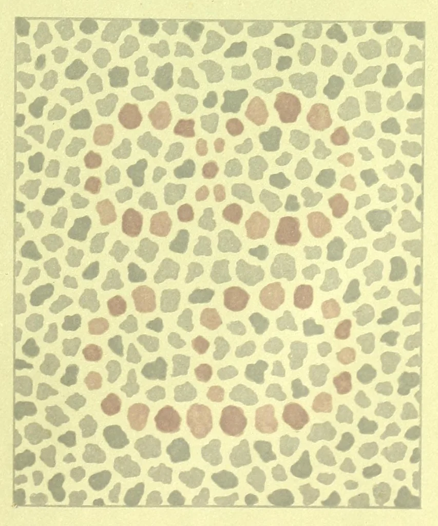 An illustration from Pseudo-isochromatische Tafeln für die Prüfung des Farbensinnes, 1883, leaf 17