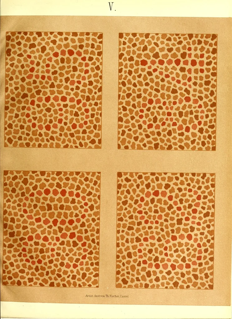 An illustration from Pseudo-isochromatische Tafeln für die Prüfung des Farbensinnes, 1883, leaf 19