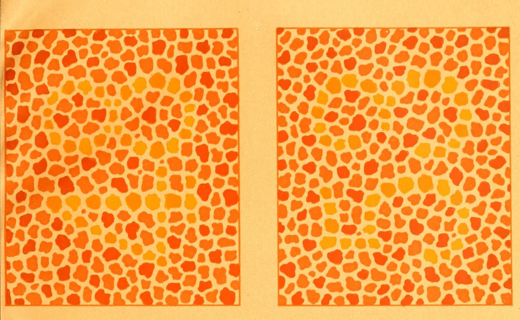 An illustration from Pseudo-isochromatische Tafeln für die Prüfung des Farbensinnes, 1883, leaf 21
