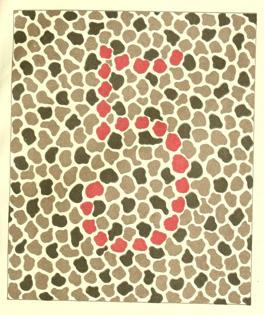 An illustration from Pseudo-isochromatische Tafeln für die Prüfung des Farbensinnes, 1889, leaf 27