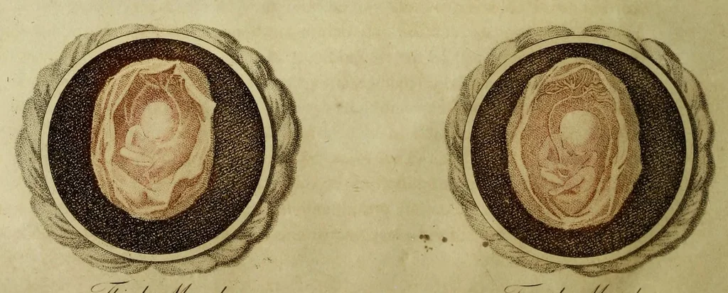 An illustration from A key to physic, and the occult sciences. Opening to mental view, the system and order of the interior and exterior heavens; the analogy betwixt angels and the spirits of men; and the sympathy between celestial and terrestrial bodies ... To which are added, lunar tables, calculated from sidereal motion; exhibiting, upon the most simple yet unerring construction, the actual moment of the crisis of every disease, and the consequent termination thereof, whether for life or death. The whole forming an interesting supplement to Culpeper's family physician, and display of the occult sciences ..., 1814, leaf 334