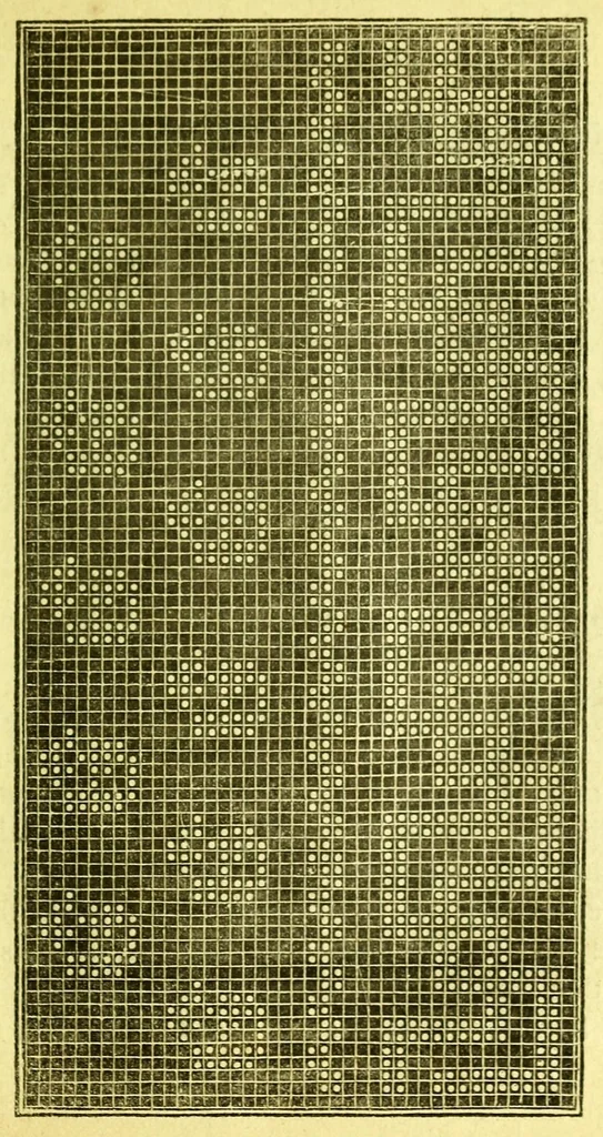 An illustration from Mee's companion to the work-table, containing selections in knitting, netting, and crochet work, 1844, leaf 107
