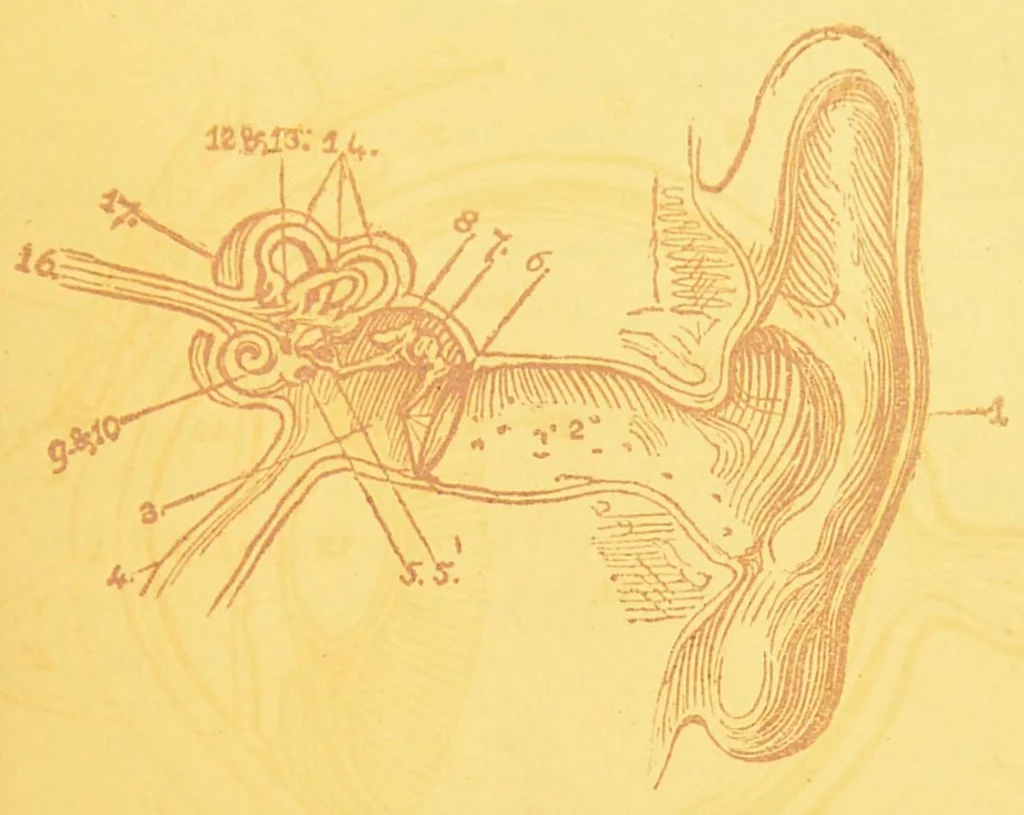 An illustration from Sound & colour : their relations, analogies & harmonies, 1869, leaf 45