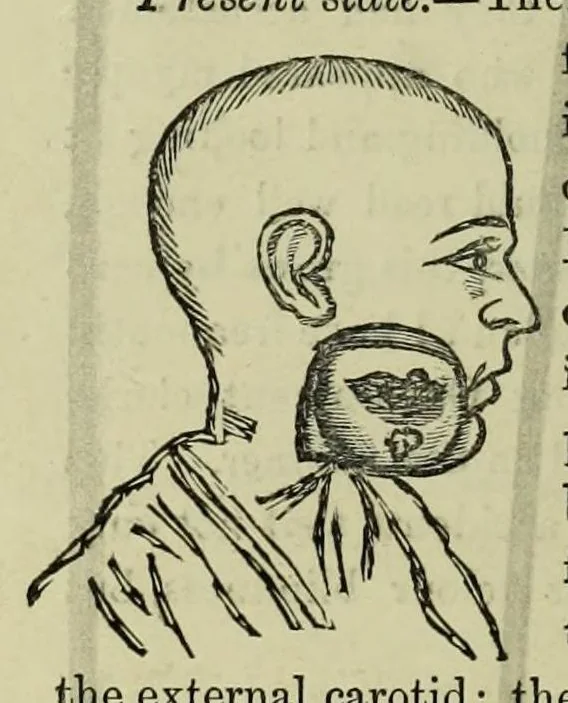 An illustration from Remarks on colour blindness, 1882, leaf 10