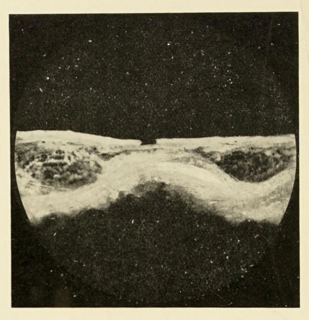 An illustration from The materials of the painter's craft in Europe and Egypt : from earliest times to the end of the XVIIth century, with some account of their preparation and use, 1910, leaf 426