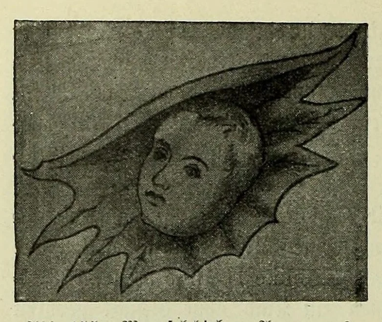 An illustration from Vergleichende Volksmedizin : eine Darstellung volksmedizinischer Sitten und Gebräuche, Anschauungen und Heilfaktoren, des Aberglaubens und der Zaubermedizin, 1908, leaf 354
