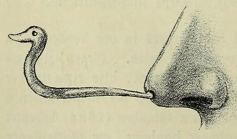 An illustration from Vergleichende Volksmedizin : eine Darstellung volksmedizinischer Sitten und Gebräuche, Anschauungen und Heilfaktoren, des Aberglaubens und der Zaubermedizin, 1908, leaf 376