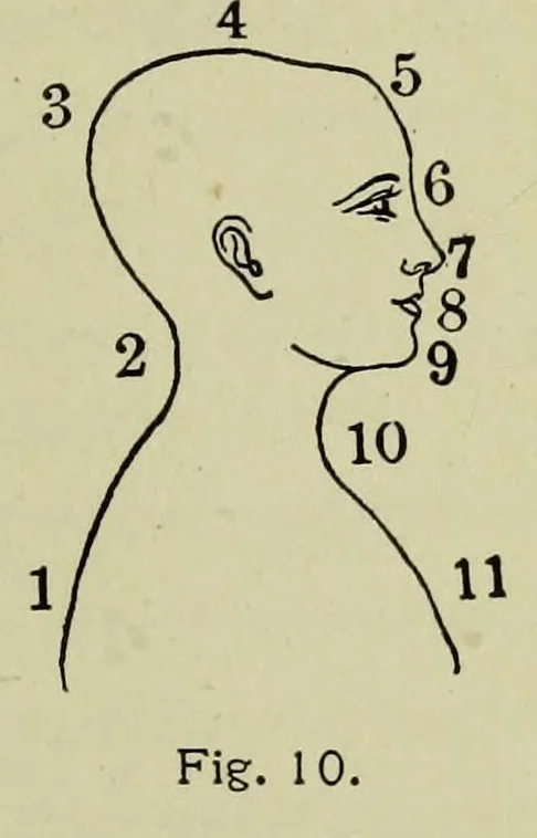 An illustration from Studies in auditory and visual space perception, 1901, leaf 105