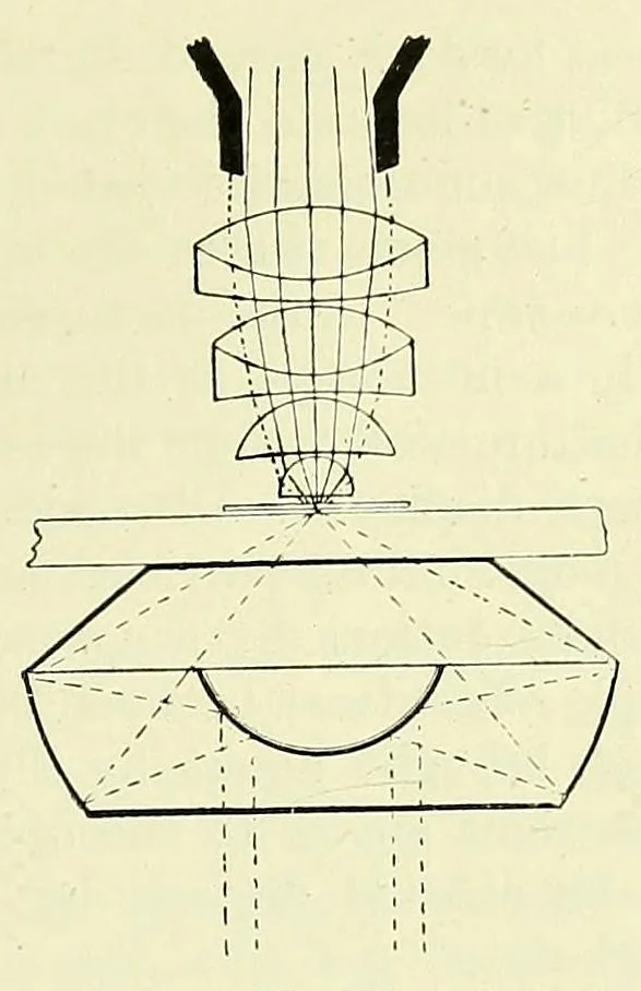 An illustration from Handbook of photomicrography, 1913, leaf 301