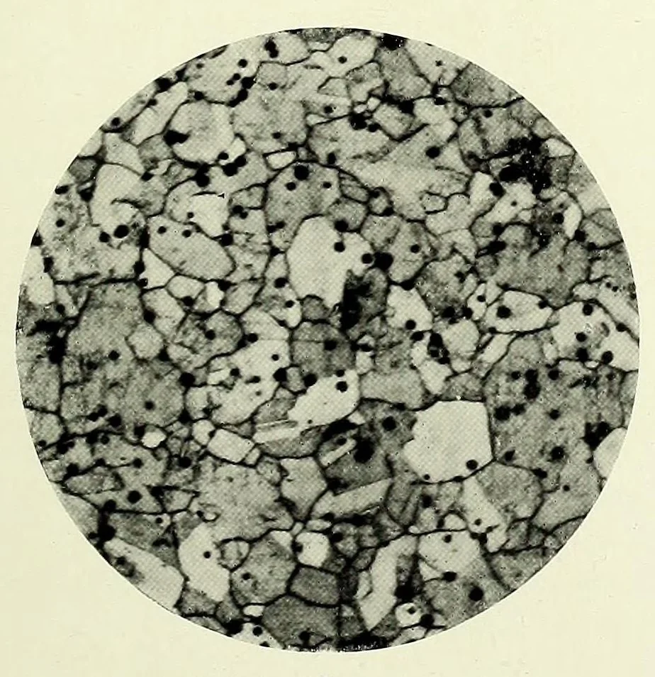 An illustration from Handbook of photomicrography, 1913, leaf 337