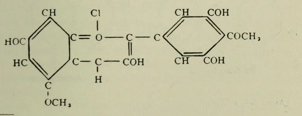 An illustration from Pigments of flowering plants, 1913, leaf 111