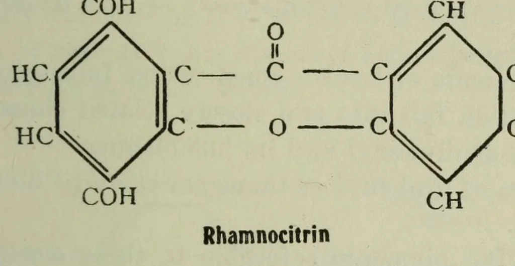 An illustration from Pigments of flowering plants, 1913, leaf 49