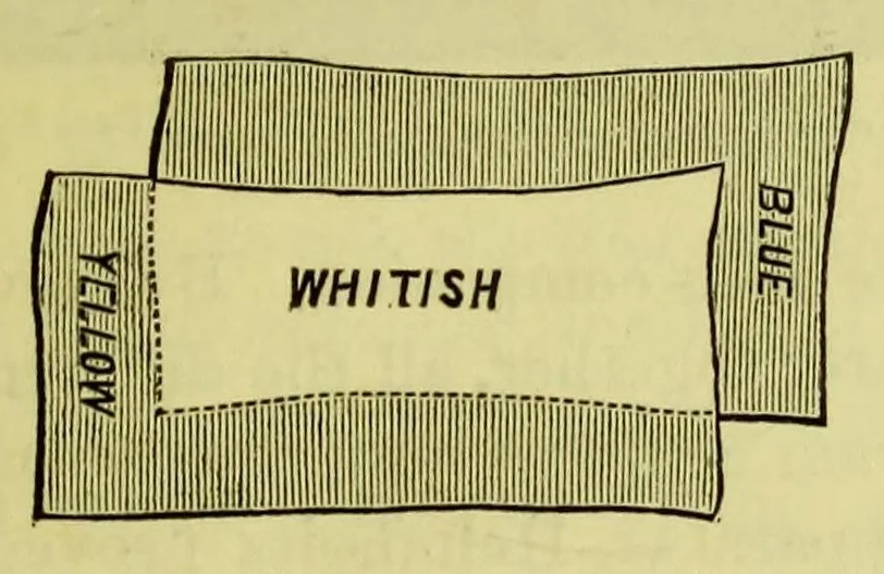 An illustration from Colour : a text-book of modern chromatics with applications to art and industry, 1904, leaf 121