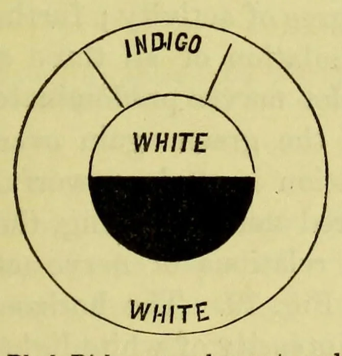 An illustration from Colour : a text-book of modern chromatics with applications to art and industry, 1904, leaf 201