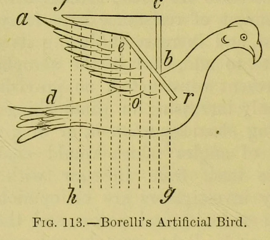 An illustration from Animal locomotion : or, walking, swimming, and flying, with a dissertation on aëronautics, 1873, leaf 246