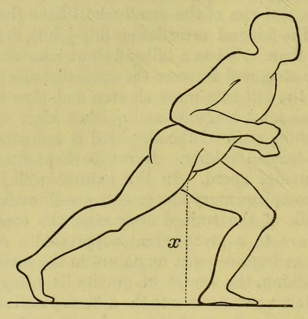 An illustration from Animal locomotion : or, walking, swimming, and flying, with a dissertation on aëronautics, 1873, leaf 86