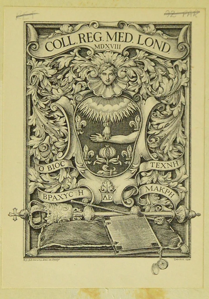 An illustration from The Life of Paracelsus Theophrastus von Hohenheim, 1493-1541, 1911, leaf 2