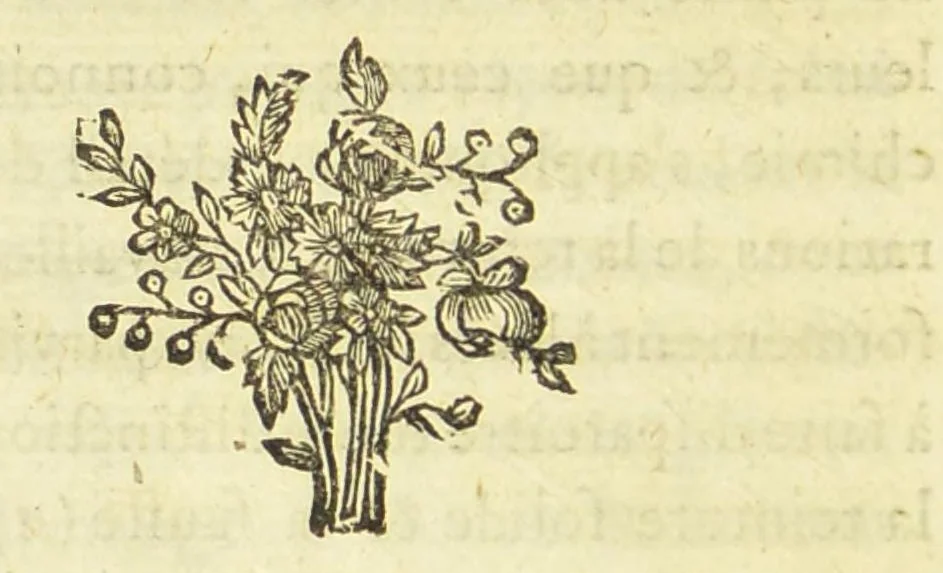 An illustration from Essai sur l'art de la teinture, 1787, leaf 20
