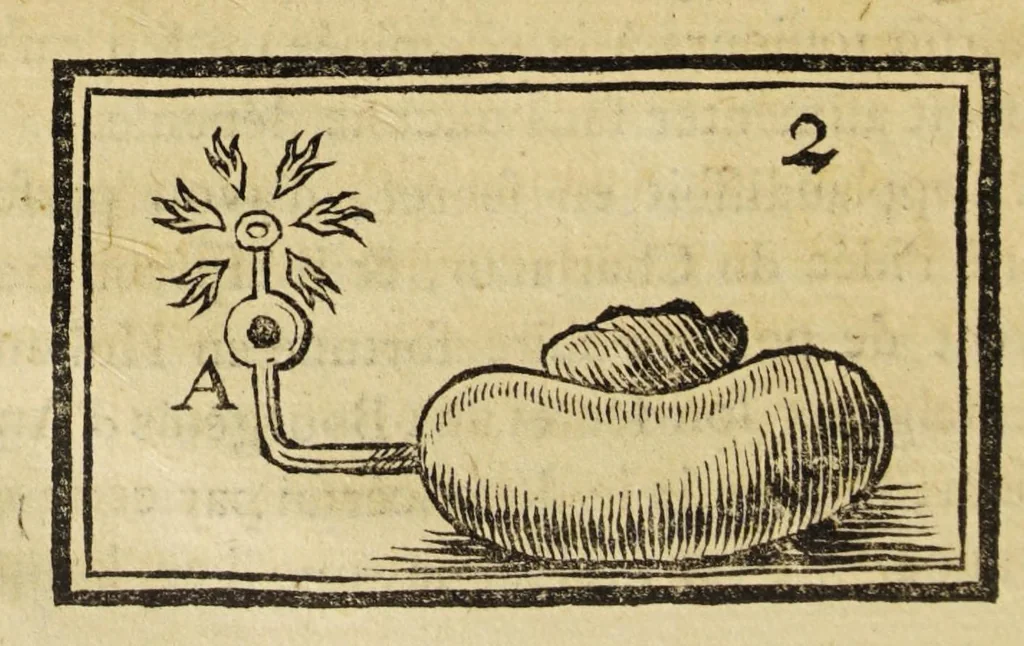 An illustration from Les petites aventures de Jérome Sharp, professeur de physique amusante. Ouvrage contenant autant de tours ingénieux que de leçons utiles, avec quelques petits portraits à la manière noire, 1793, leaf 90