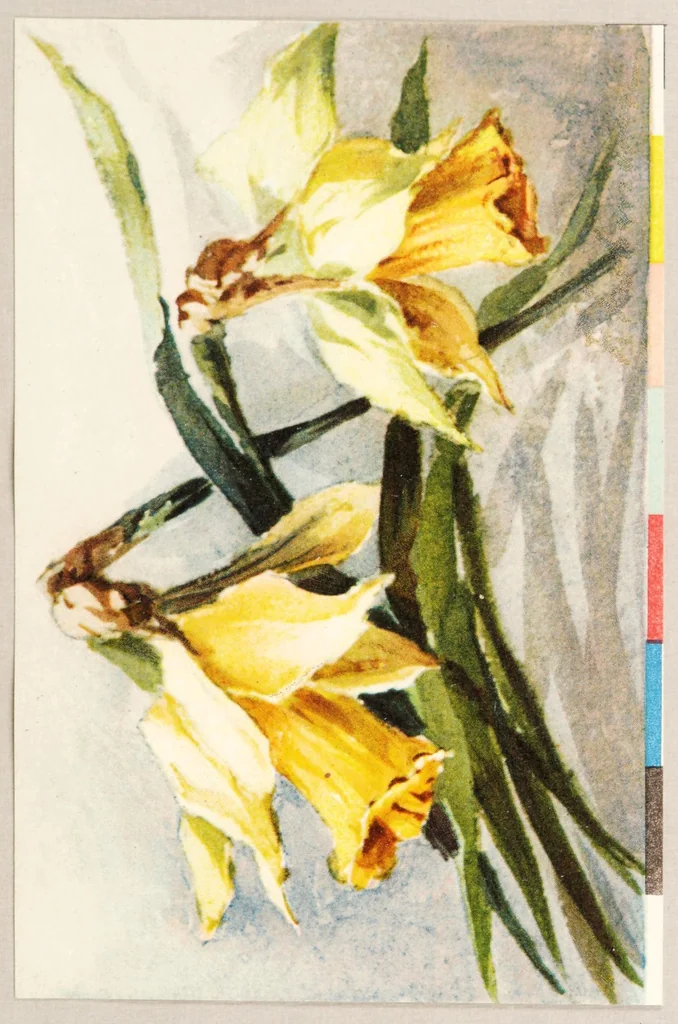 An illustration from Die umbildung der chromolithographie : photolithographischer vier-und menrfarbendruck auf stein, zink und aluminium, 1913, leaf 209