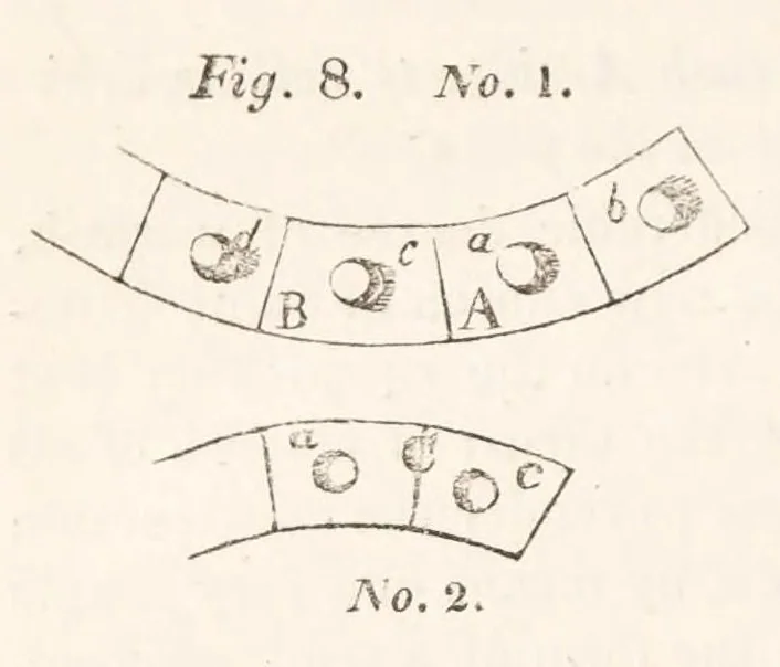 An illustration from Recreations in science and natural philosophy, 1844, leaf 576