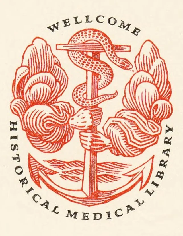 An illustration from Geist der Medizin : analytische Studien über die Grundideen der Vormedizin, Urmedizin, Volksmedizin, Saubermedizin, Berufsmedizin, 1915, leaf 2