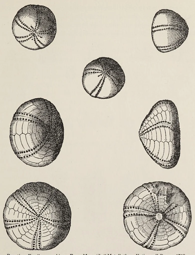 An illustration from The magic of jewels and charms, 1915, leaf 257
