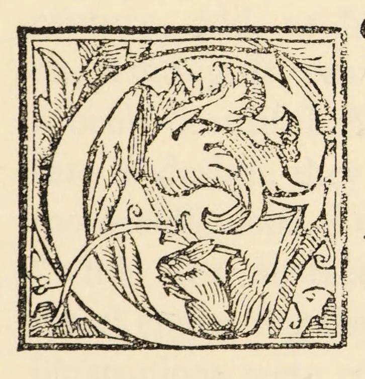 An illustration from Printing types, their history, forms, and use : a study in survivals, 1923, leaf 397